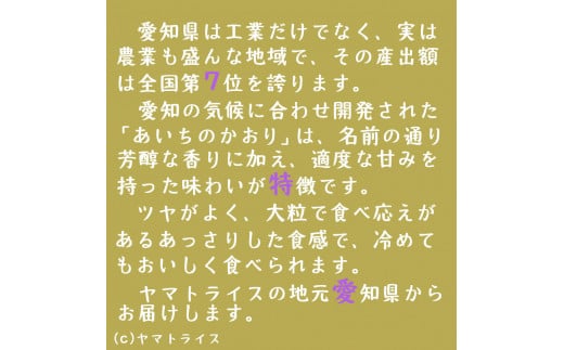 【精米】6回定期便 愛知県産あいちのかおり 100kg（5kg×20袋）　安心安全なヤマトライス 米 白米 国産 大容量 5キロ こめ コメ ごはん　H074-616