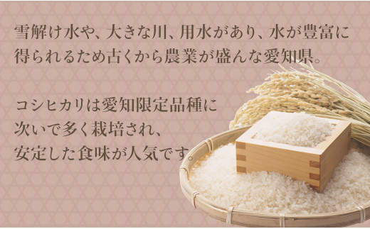 【精米】愛知県産コシヒカリ 100kg（5kg×20袋） 安心安全なヤマトライス 米 白米 国産 精米 大容量 5キロ　H074-623