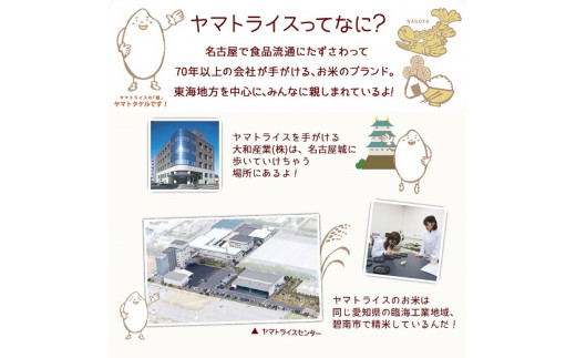 【精米】愛知県産コシヒカリ 100kg（5kg×20袋） 安心安全なヤマトライス 米 白米 国産 精米 大容量 5キロ　H074-623