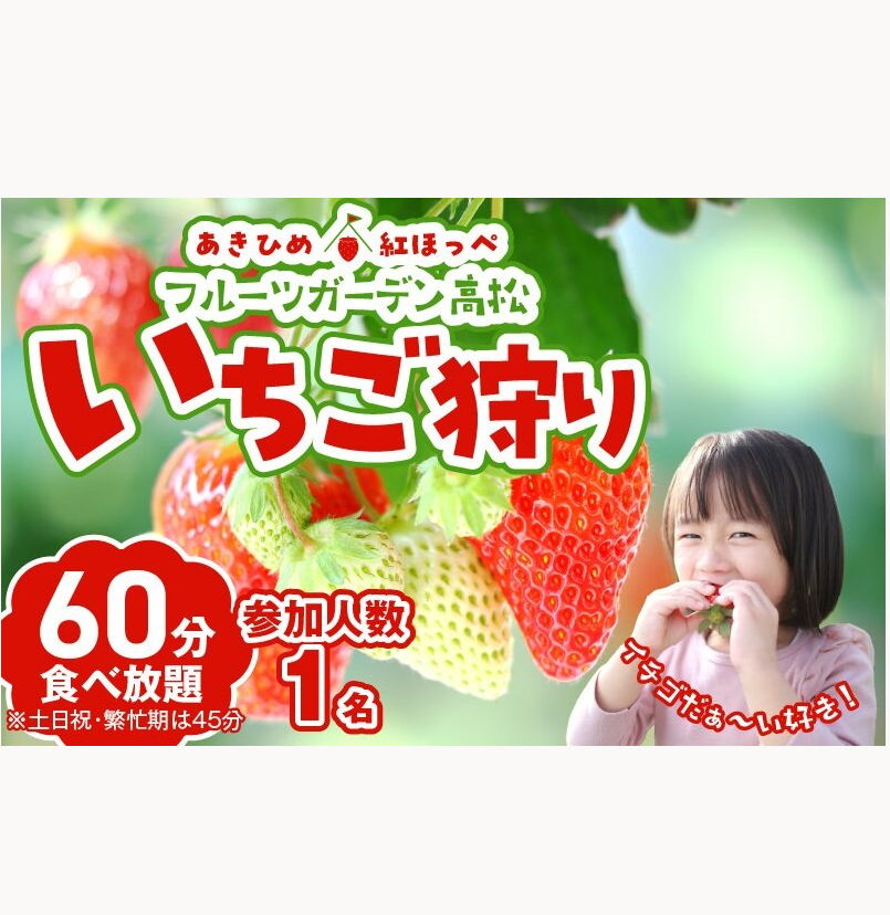 【1レーン貸切・最大60分食べ放題（土日祝・繁忙期は45分）】いちご狩り券（３才以上）1名様　愛知 体験 チケット くだもの狩り フルーツ狩り H175-006