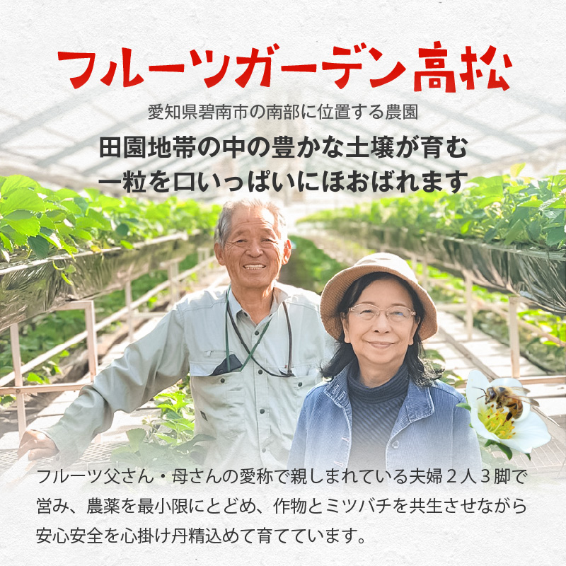 【1レーン貸切・最大60分食べ放題（土日祝・繁忙期は45分）】いちご狩り券 2名様（３歳以上）愛知 体験 チケット くだもの狩り フルーツ狩り H175-007