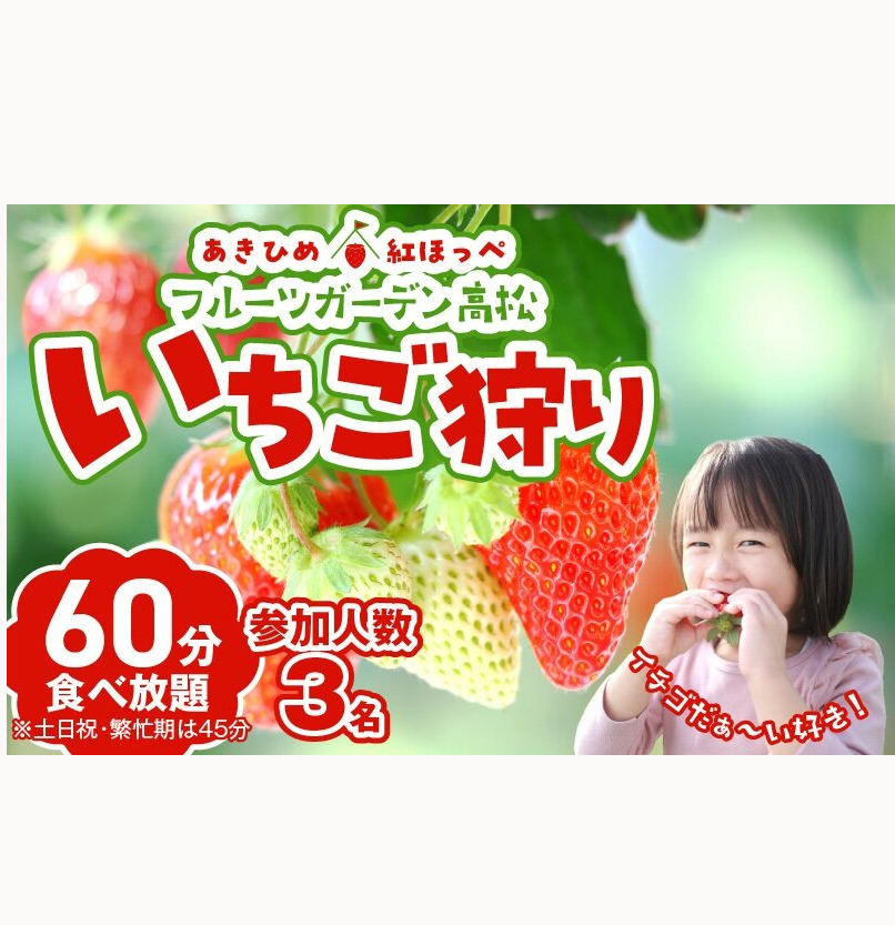 【1レーン貸切・最大60分食べ放題（土日祝・繁忙期は45分）】いちご狩り券 3名様（３才以上）愛知 体験 チケット くだもの狩り フルーツ狩り H175-008