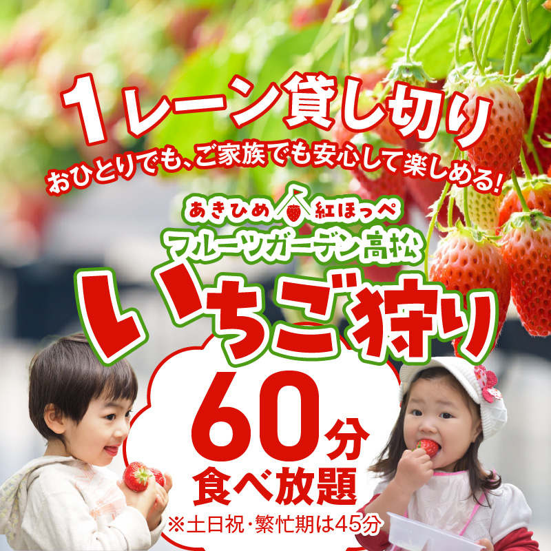 【1レーン貸切・最大60分食べ放題（土日祝・繁忙期は45分）】いちご狩り券 3名様（３才以上）愛知 体験 チケット くだもの狩り フルーツ狩り H175-008