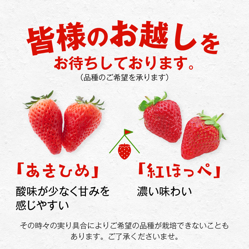 【1レーン貸切・最大60分食べ放題（土日祝・繁忙期は45分）】いちご狩り券 4名様（３才以上）愛知 体験 チケット くだもの狩り フルーツ狩り H175-009