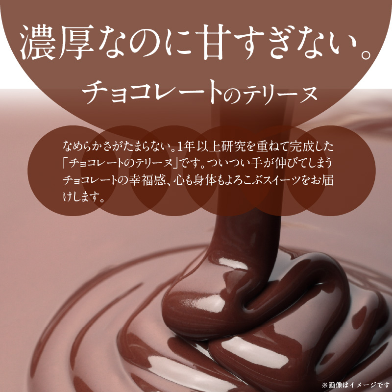 濃厚チョコレートのテリーヌ【グルテンフリー・保存料不使用】ショコラ スイーツ チョコレート H173-008