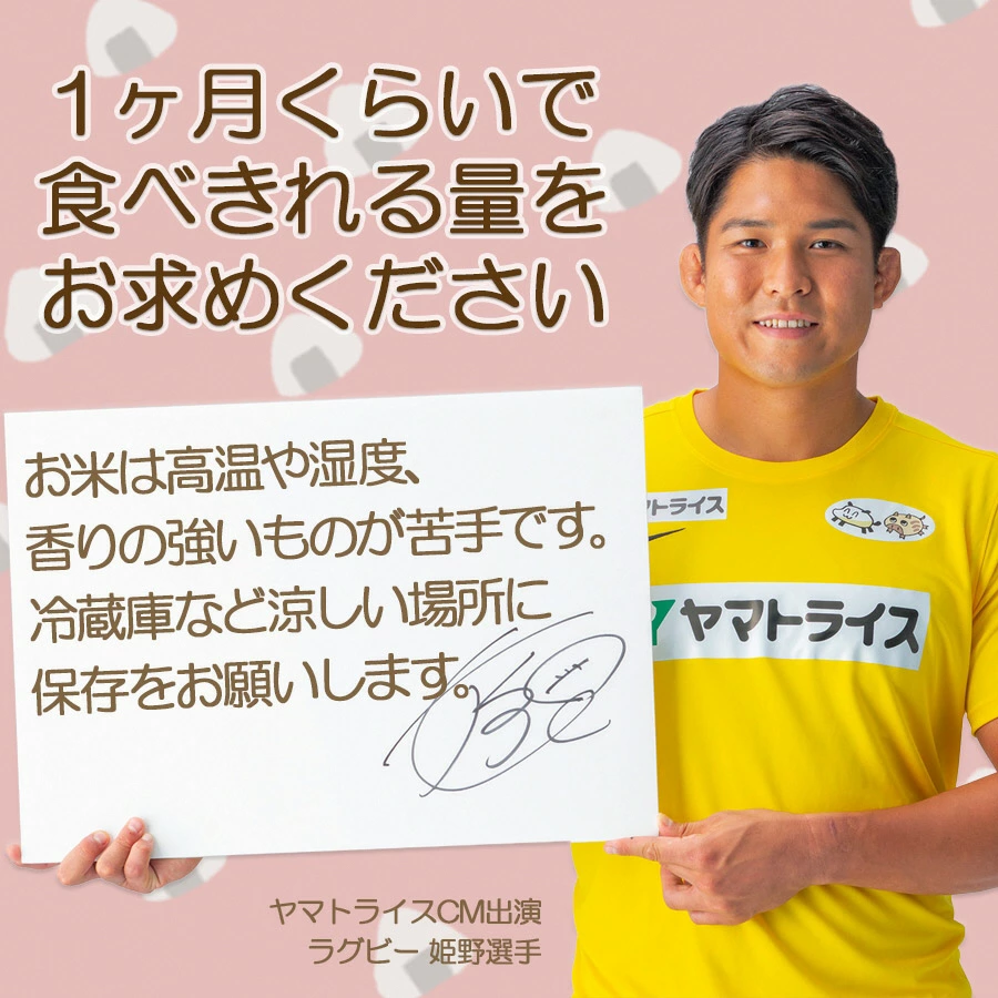 【すぐにお届け&日時指定可】 愛知県産コシヒカリ 10kg(5kg×2袋)　こめ コメ ごはん 安心安全なヤマトライス 米 白米 国産 精米 10キロ　H074-608