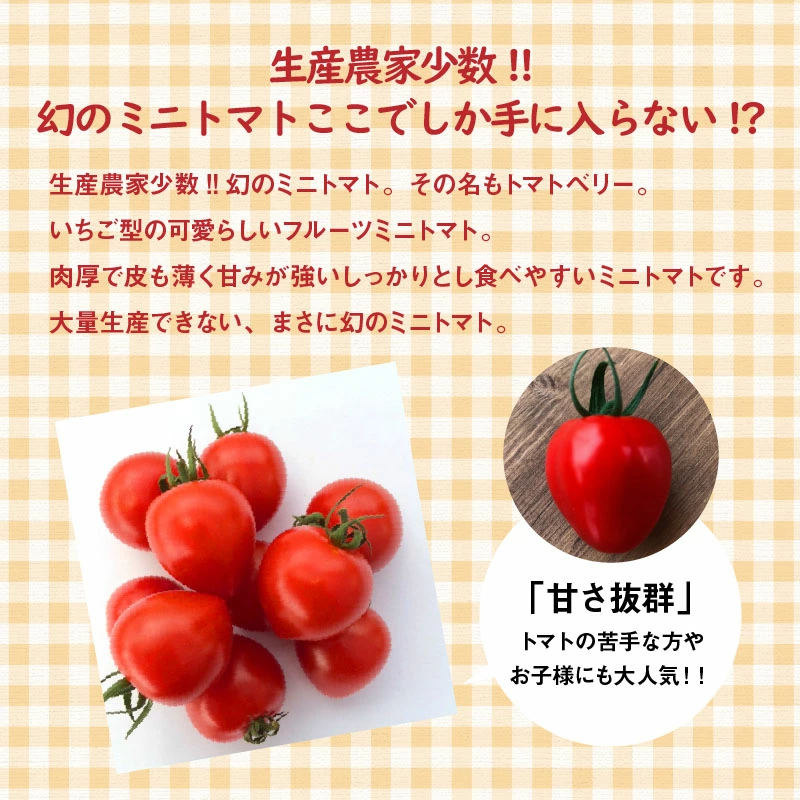 【お試し】甘さ抜群!トマト嫌いでも食べられるトマトベリー 約700g（1月～4月発送） 野菜ソムリエサミット 金賞 受賞 長田農園 産地直送 トマト とまと 野菜 やさい フルーツ サラダ 濃厚 甘い ご褒美 プレゼント 美容 健康 リピート多数 人気 高評価 数量限定 碧南市 H004-125