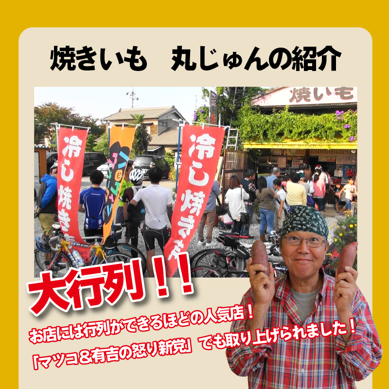 【全3回】毎月1種類ずつ届く 冷やし焼き芋定期便 約1kg×3回（計3種） 芋スイーツ H047-038