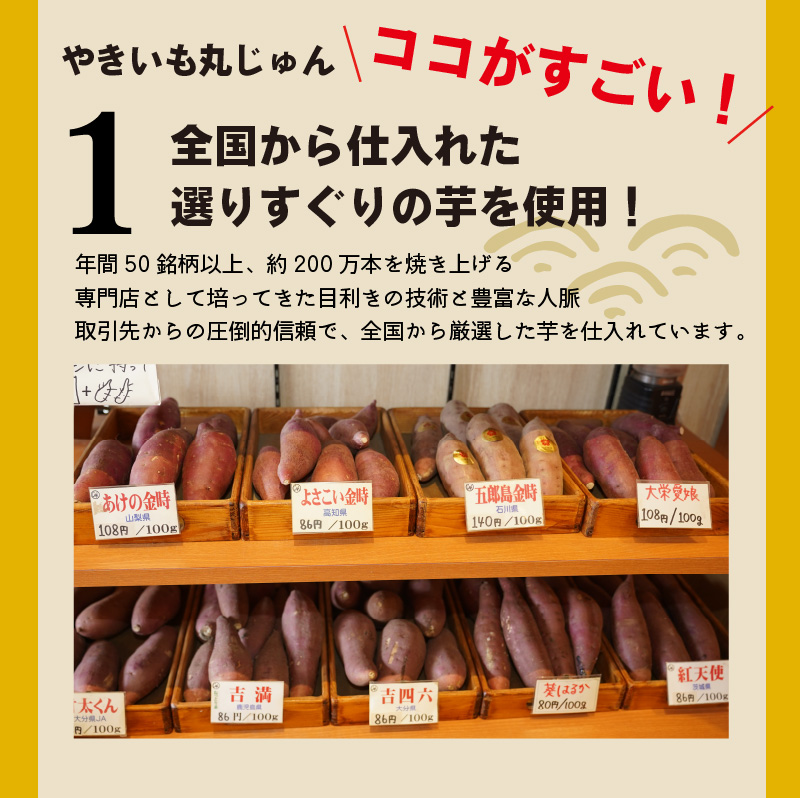 【全6回】毎月1種類ずつ届く 冷やし焼き芋定期便 約1kg×6回（計3種） 芋スイーツ H047-039