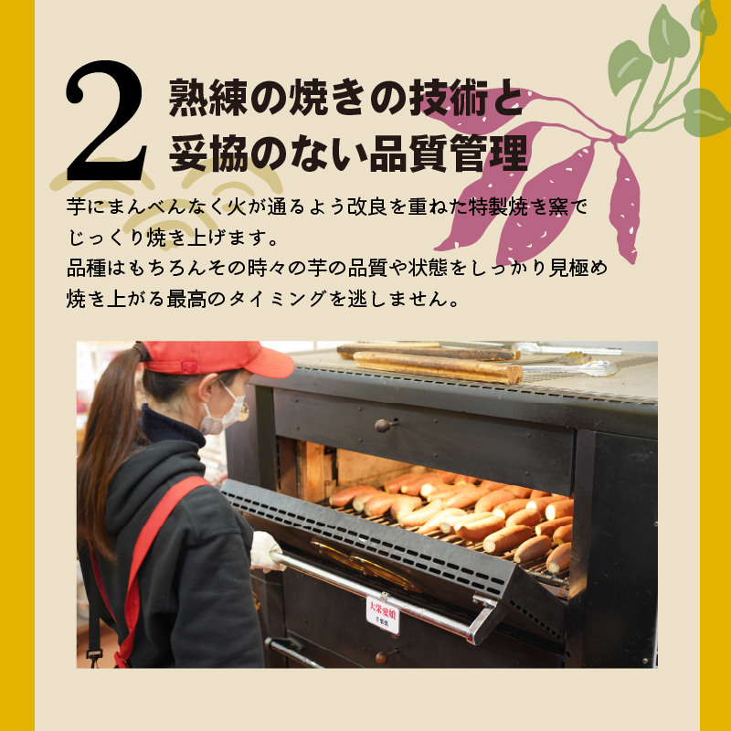 【全6回】毎月1種類ずつ届く 冷やし焼き芋定期便 約1kg×6回（計3種） 芋スイーツ H047-039