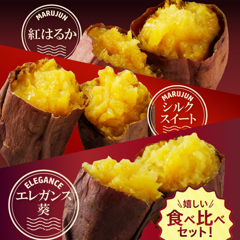 【全6回】毎月1種類ずつ届く 冷やし焼き芋定期便 約1kg×6回（計3種） 芋スイーツ H047-039