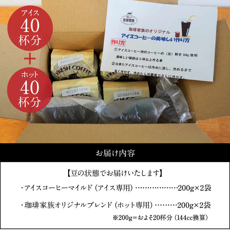 【極深煎り】アイス専用＆ホット専用 コーヒー豆800g（200g×各種2袋） ～お家で楽しむ自家焙煎の香り高いコーヒー～　H163-017