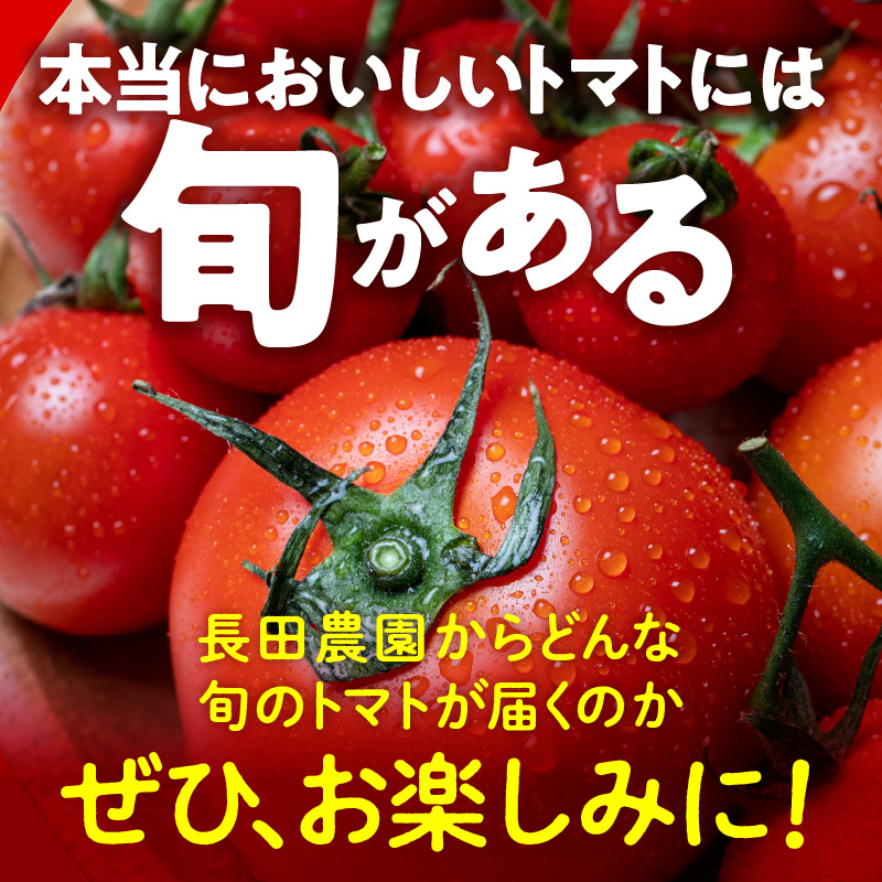 【個数限定】毎月発送!1年楽しめる長田農園 旬のスペシャル定期便 野菜ソムリエサミット 金賞 受賞 長田農園 産地直送 カラフル トマト とまと 野菜 やさい フルーツ サラダ 濃厚 甘い ご褒美 プレゼント 美容 健康 リピート多数 人気 高評価 数量限定 碧南市 H004-168