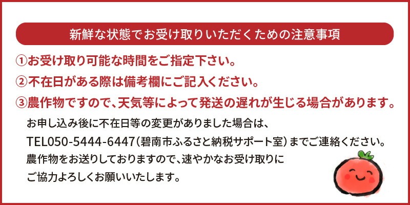 1月～6月毎月発送 　幻のミニトマト トマトベリーの定期便 約700g×6回コース ソムリエサミット 金賞 受賞 長田農園 産地直送 トマト とまと 野菜 やさい フルーツ サラダ 濃厚 甘い ご褒美 プレゼント 美容 健康 リピート多数 人気 高評価 数量限定 碧南市 H004-169