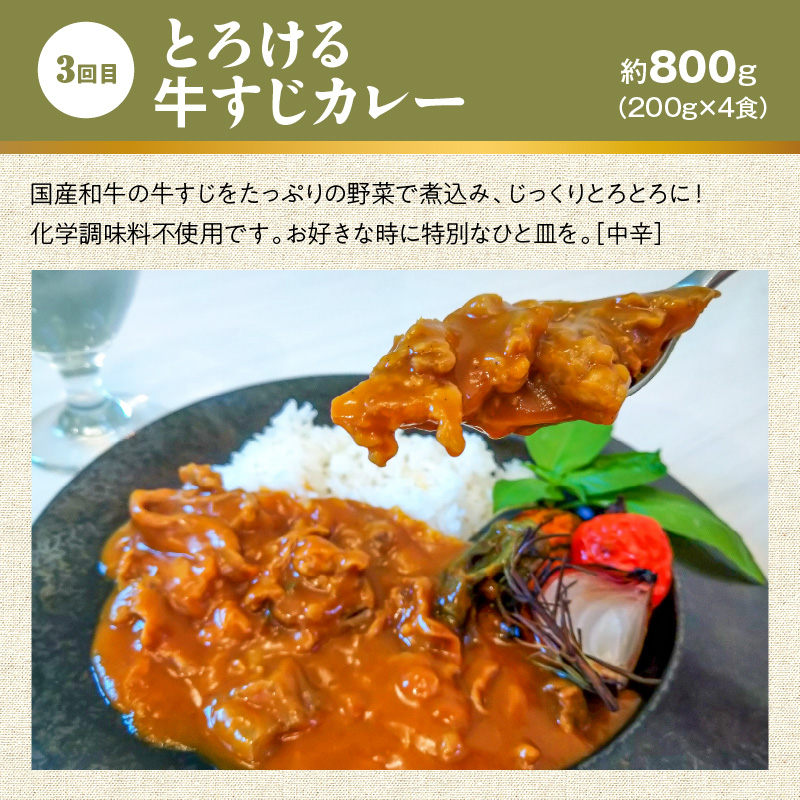 【無添加】碧南DELIシリーズ お肉と惣菜の定期便 6回お届け（6種食べ比べコース 4人前） 時短料理 お手軽 温めるだけ お惣菜 お取り寄せ 冷凍 おいしい オムライス ハンバーグ 牛すじ カレー H080-045