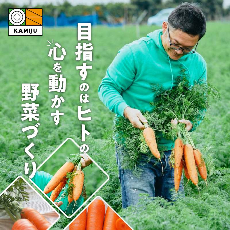 訳あり！こどもも食べられる甘み！「マドンナキャロット」 7kg にんじん 人参 ニンジン 野菜 やさい 国産 碧南市 健康 食品ロス削減 甘い 先行予約 旬 特産 高評価 高リピート 人気　H105-135