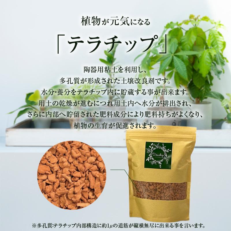 三河焼植木鉢ハーモニーブラウン【テラチップ赤焼】プランター お手軽植物栽培セット H188-004