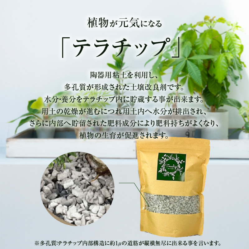 三河焼 植木鉢 ダークシルバー【テラチップいぶし】プランター お手軽 植物栽培セット H188-001