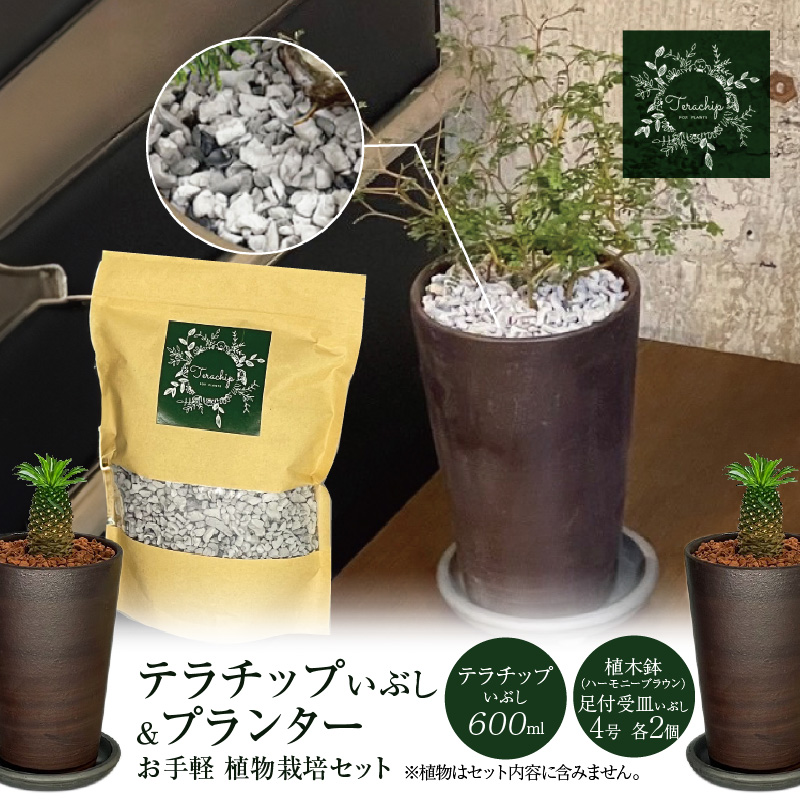 三河焼植木鉢ハーモニーブラウン【テラチップいぶし】プランター お手軽植物栽培セット H188-003