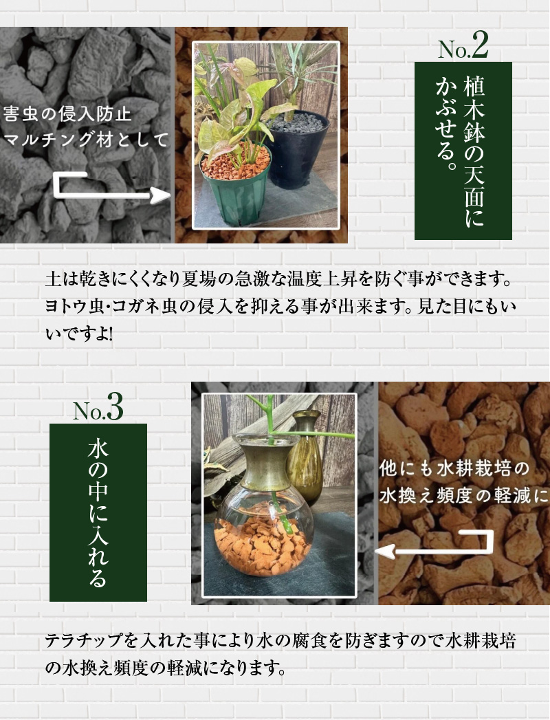 三河焼植木鉢ハーモニーブラウン【テラチップいぶし】プランター お手軽植物栽培セット H188-003