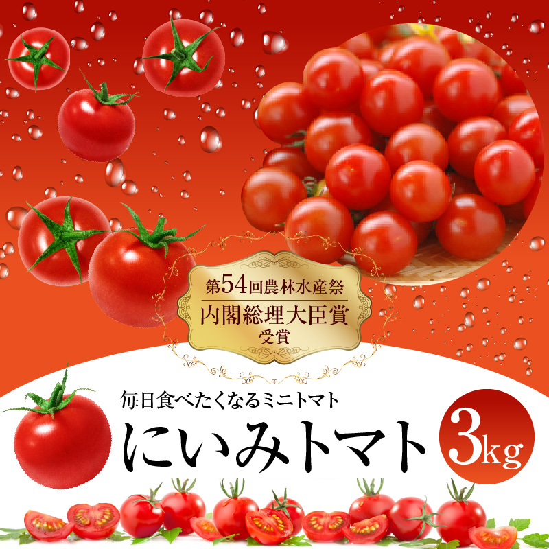 【内閣総理大臣賞受賞】毎日食べたくなるミニトマト３kg 農林水産大臣賞受賞 日本農業賞大賞受賞 H031-002