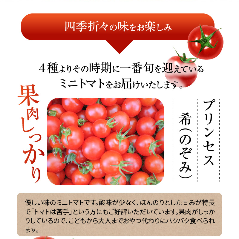 【内閣総理大臣賞受賞】毎日食べたくなるミニトマト３kg 農林水産大臣賞受賞 日本農業賞大賞受賞 H031-002