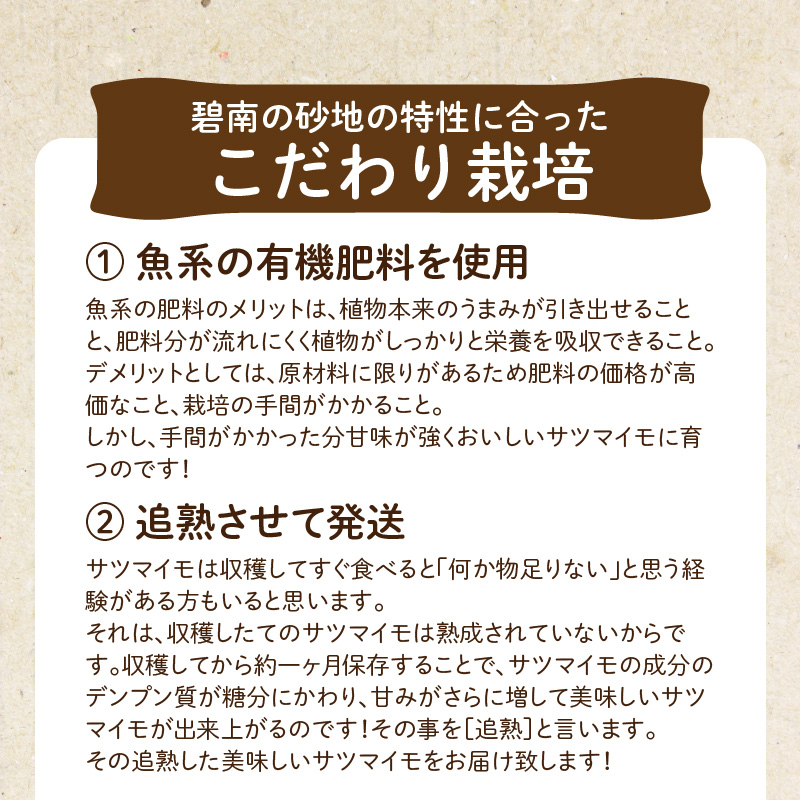 【福箱★2025】ホクホク金時 VS ねっとり紅はるか 食べ比べセット あなたはどっち派！？ H097-030