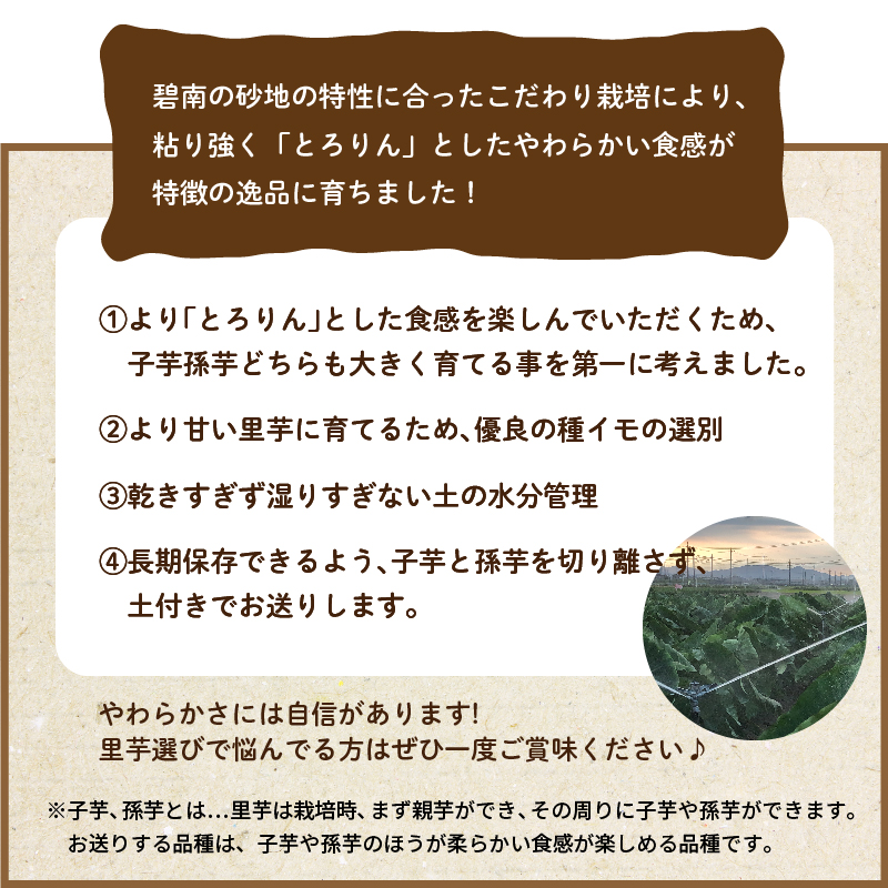 【福箱★2025】とろける里芋【とろりん】＆ホクホクおいしい【金時いも】 はらぺこ畑人気セットH097-031