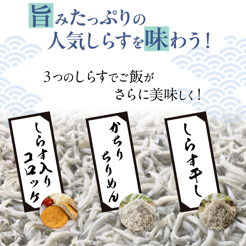 【福箱★2025】 丸久水産 人気詰め合わせセット しらす干し かちりちりめん しらす入りコロッケ H018-044