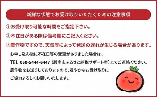 1月～6月毎月発送　まるでトマトの宝石箱！ジュエリートマトの定期便　約700g×6回コース　H004-170