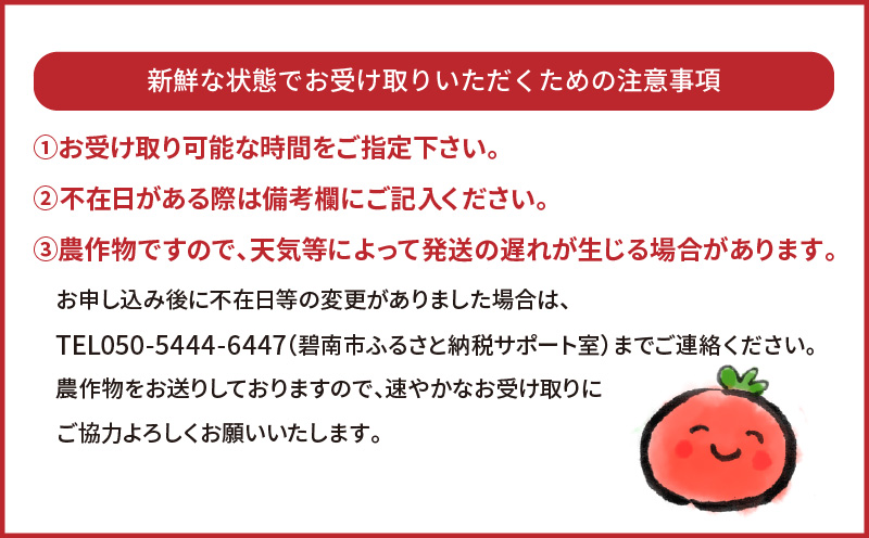 【お試し】まるでトマトの宝石箱！フルーツジュエリートマト 約800g　 H004-115