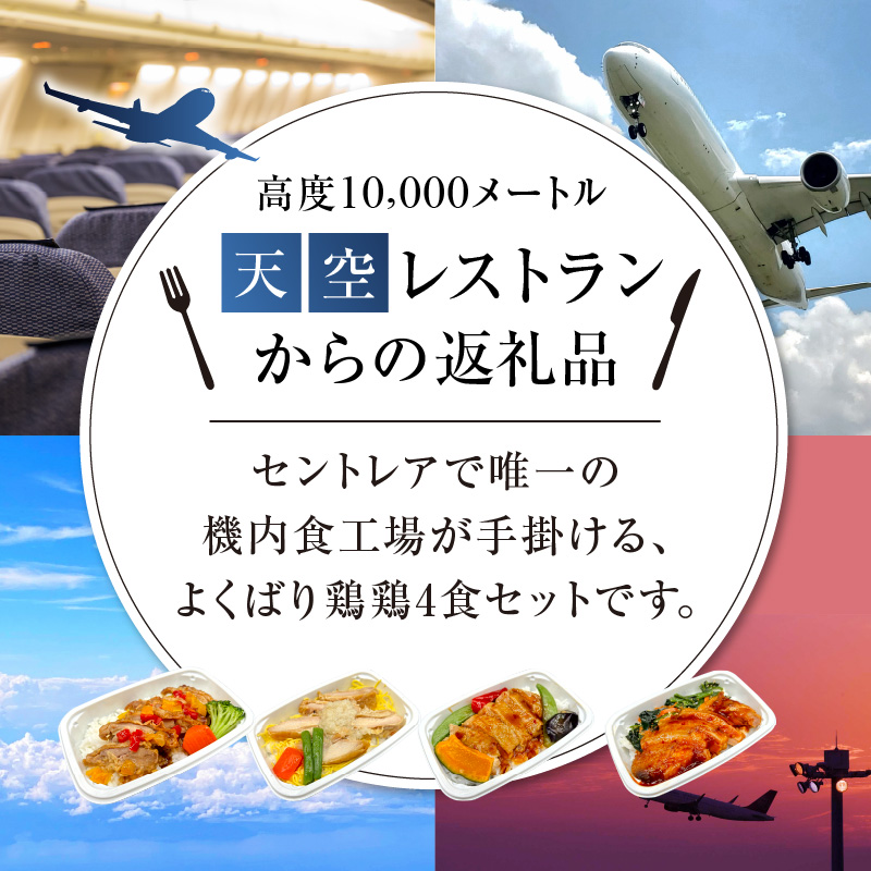 <12月末で受付終了> 【高度10,000メートル 天空レストランからの贈物】「機内食よくばり鶏鶏セット 計4食」 お弁当 お手軽 時短料理 レンジ 冷凍食品 おかず 旅行 飛行機 機内食 H167-022