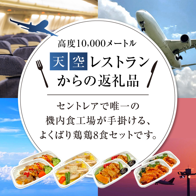 <12月末で受付終了> 【高度10,000メートル 天空レストランからの贈物】「機内食よくばり鶏鶏セット 計8食」 お弁当 お手軽 時短料理 レンジ 冷凍食品 おかず 旅行 飛行機 機内食 H167-024