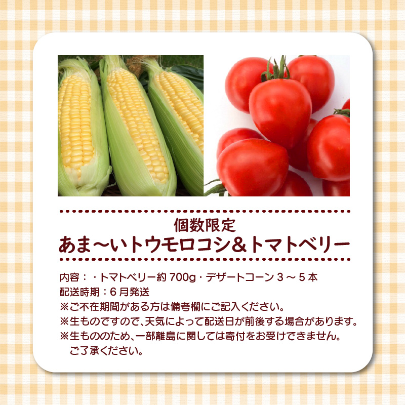 【2025年度予約分】あま～いトウモロコシ＆トマトベリー　長田農園しかできない夢の共演 【個数限定】 野菜ソムリエサミット 金賞 受賞 長田農園 産地直送 トマト とまと 野菜 やさい フルーツ サラダ 濃厚 甘い ご褒美 プレゼント 美容 健康 リピート多数 人気 高評価 数量限定 碧南市 H004-160