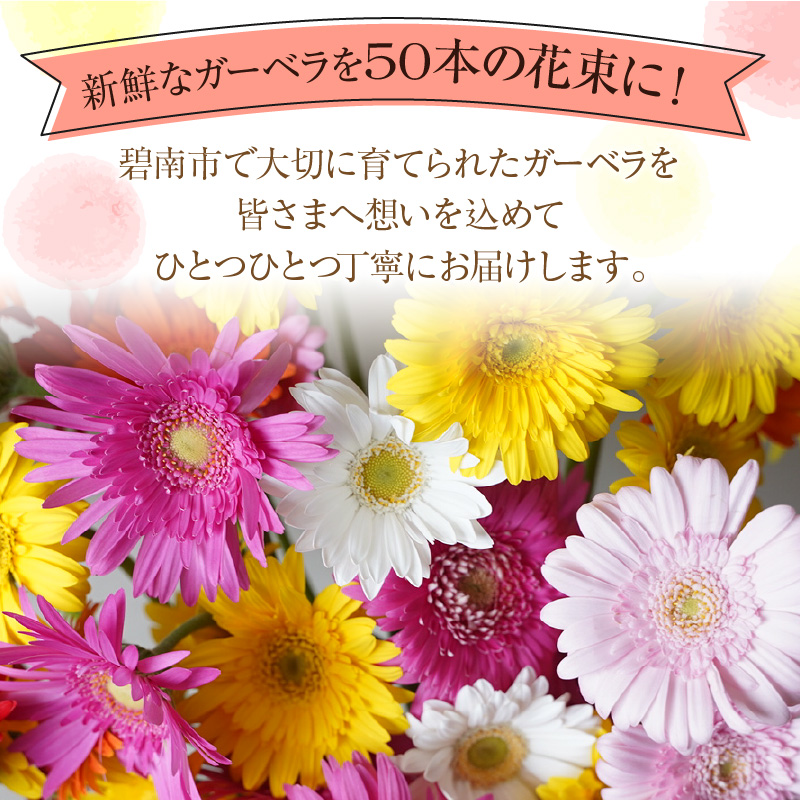 【ラッピング付】生花ガーベラミックスの花束 50本 日付指定可能 ギフト プレゼント ラッピング 産地直送 インテリア お花 フラワー ボリューム満点 H193-001