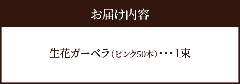 【ラッピング付】生花 ピンクガーベラ の花束 50本 日付指定可能 ギフト プレゼント ラッピング 産地直送 インテリア お花 フラワー ボリューム満点 H193-002