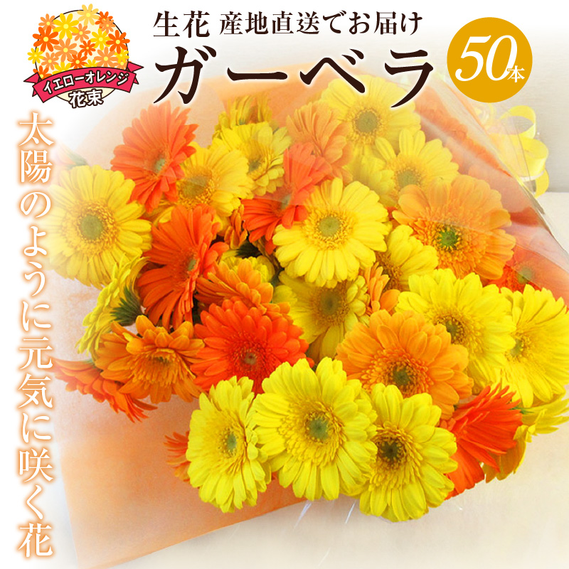 【ラッピング付】生花 イエローオレンジガーベラ の花束 50本 日付指定可能 ギフト プレゼント ラッピング 産地直送 インテリア お花 フラワー ボリューム満点 H193-003