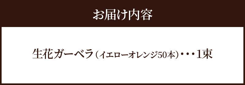 【ラッピング付】生花 イエローオレンジガーベラ の花束 50本 日付指定可能 ギフト プレゼント ラッピング 産地直送 インテリア お花 フラワー ボリューム満点 H193-003