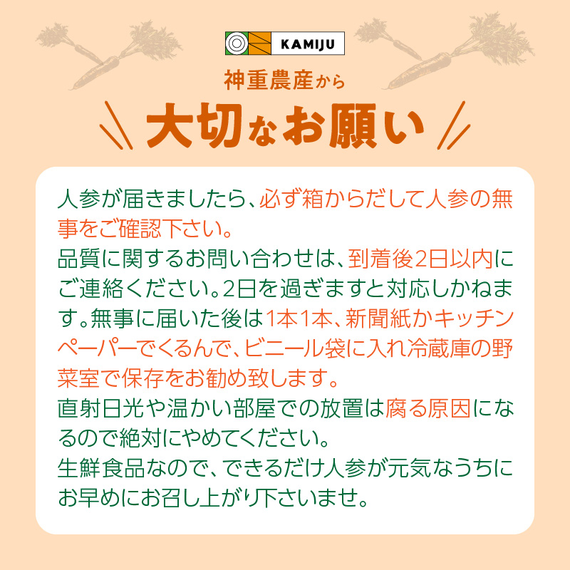 こどもも食べられる甘み！ジュースにしても美味しい！「マドンナキャロット」 10kg にんじん 野菜 H105-123