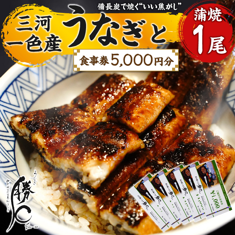 【備長炭で焼く“いい焦がし”】三河一色産うなぎの蒲焼１尾と「勝〇食事券5,000円分」鰻 ウナギ 蒲焼 たれ タレ 国産 備長炭 土用 丑の日 冷凍 三河一色産 食事券 H189-006