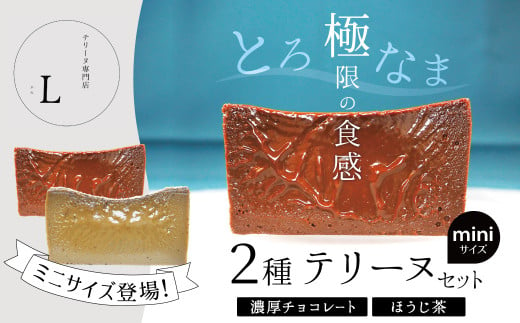 ミニサイズ濃厚チョコレート・ほうじ茶2種のテリーヌセット【グルテンフリー・保存料不使用】 スイーツ H173-011