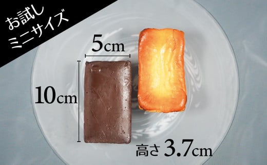 ミニサイズ濃厚チョコレート・バスク風チーズ2種のテリーヌセット【グルテンフリー・保存料不使用】 スイーツ H173-012