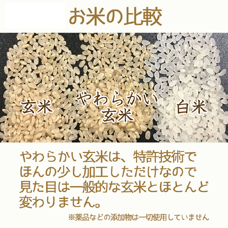 やわらかい玄米 新潟県産コシヒカリ 900g×4袋　安心安全なヤマトライス　H074-593