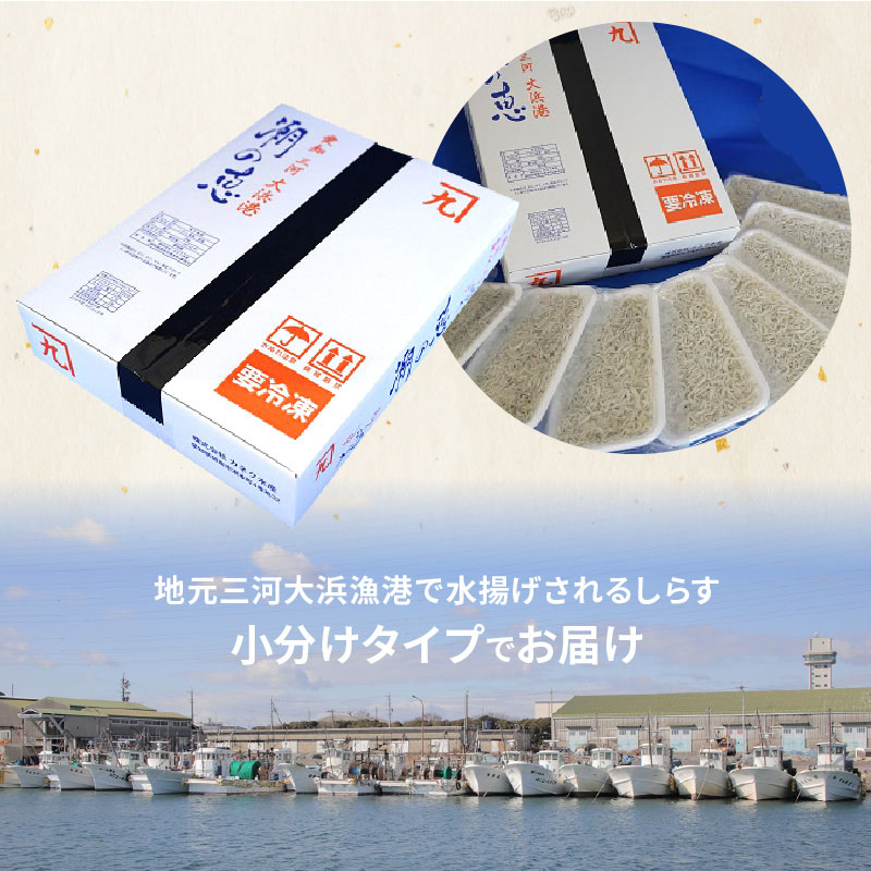 【１年定期便 毎月 全12回】便利！ しらす屋のしらす干し 小分けタイプ 630ｇ（70g×9p） 魚介類 しらす シラス 国産 海の幸 ご飯のお供 おつまみ しらす丼 グルメ ギフト 贈り物 やみつき 冷凍 小分け H006-094