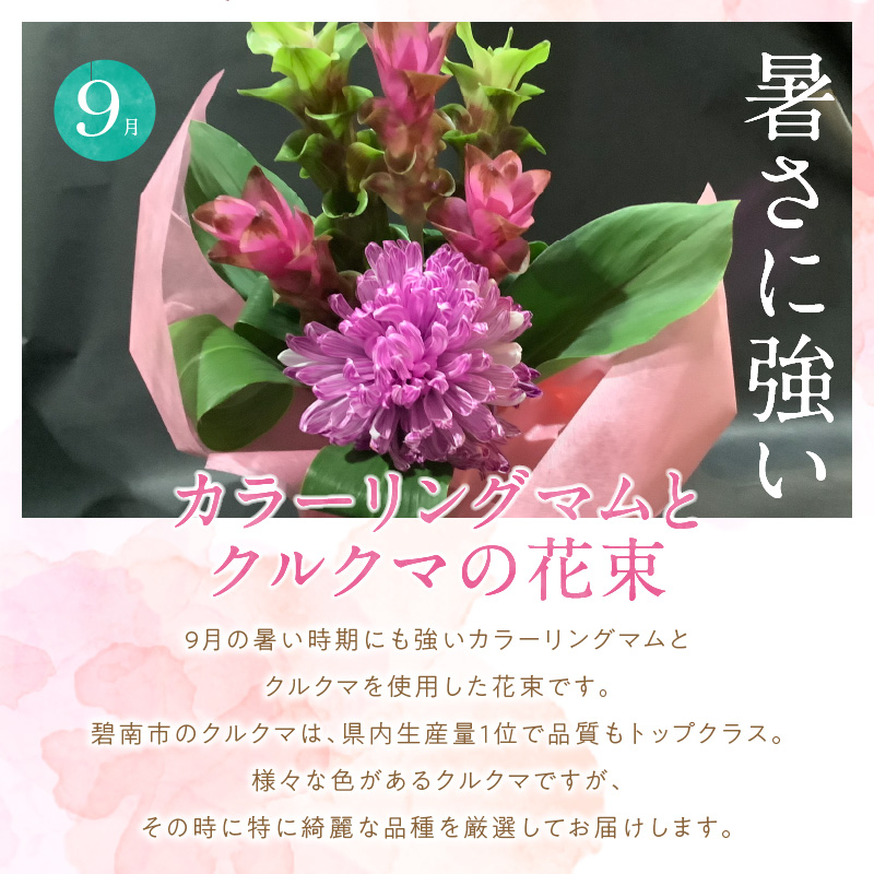 【全４回】季節感じる生花の定期便 (9月～12月に毎月お届け) 花 クリスマス お正月 リース クルクマ バラ 薔薇 ガーベラ マム 菊 H092-066