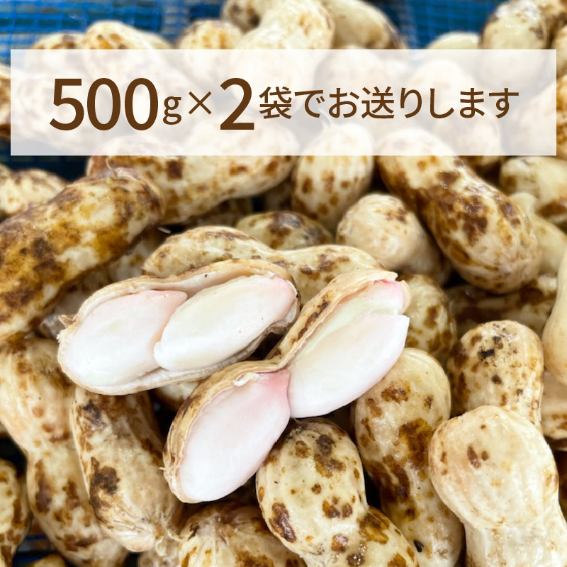 【2025年発送】事前予約 訳あり やみつき極うま “金の生落花生” 塩ゆで専用 1kg(500g×2袋）　H105-143