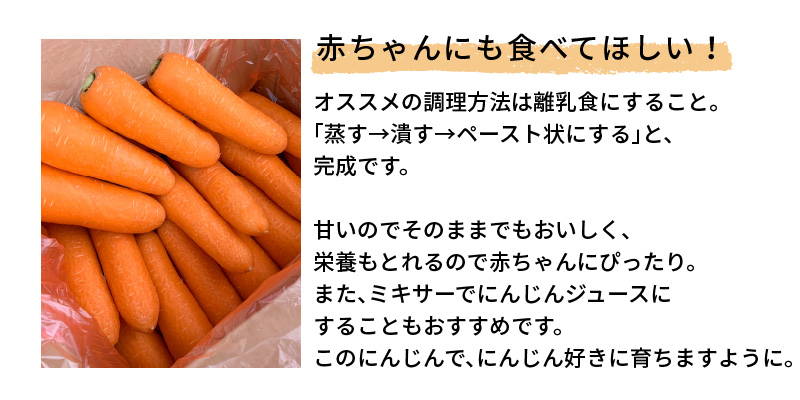 【食品ロス削減】（ 訳あり ）甘さと栄養で体も笑う武ちゃん農場の“ハッピーキャロット” 5kg　H095-022