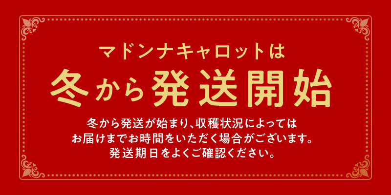 ＜フジテレビ『どっちのふるさと？』で紹介されました！＞ 【期間限定】訳あり！こどもも食べられる甘み！「マドンナキャロット」 3kg にんじん 人参 ニンジン 野菜 やさい 国産 碧南市 健康 食品ロス削減 甘い 先行予約 旬 特産 高評価 高リピート 人気 H105-155