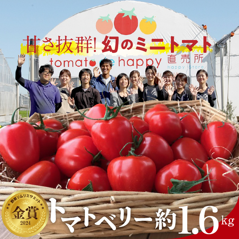 甘さ抜群!トマト嫌いでも食べられるトマトベリー 約1.6kg 野菜ソムリエサミット 金賞 受賞 長田農園 産地直送 トマト とまと 野菜 やさい フルーツ サラダ 濃厚 甘い ご褒美 プレゼント 美容 健康 リピート多数 人気 高評価 先行受付 数量限定 碧南市 H004-116