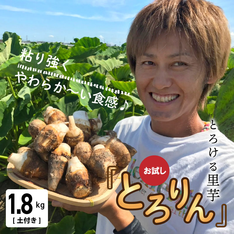 【お試し】とろける里芋『とろりん』　土付き　1.8kg　H097-025